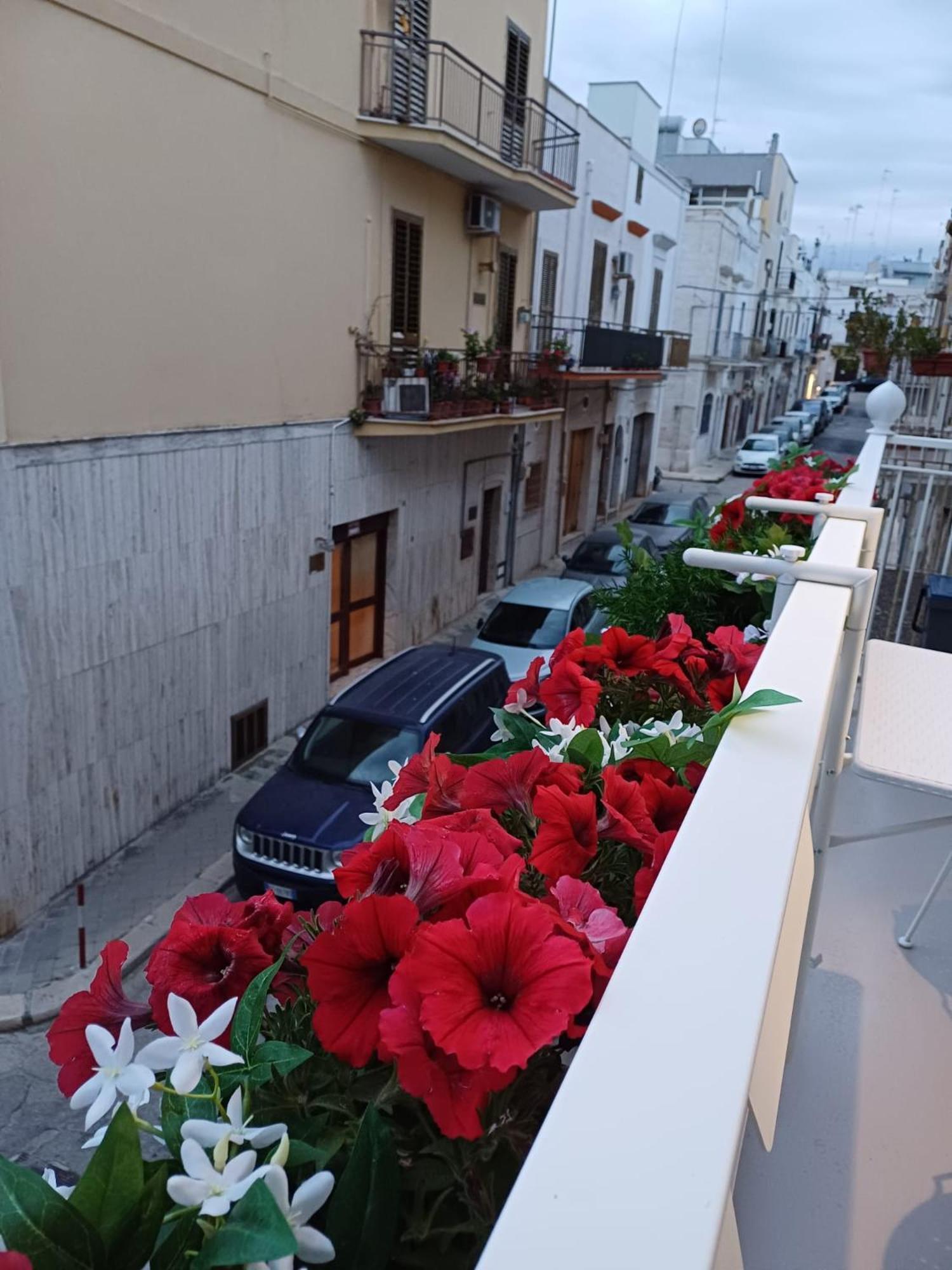 Casa Lina Apartment Mola di Bari Bagian luar foto