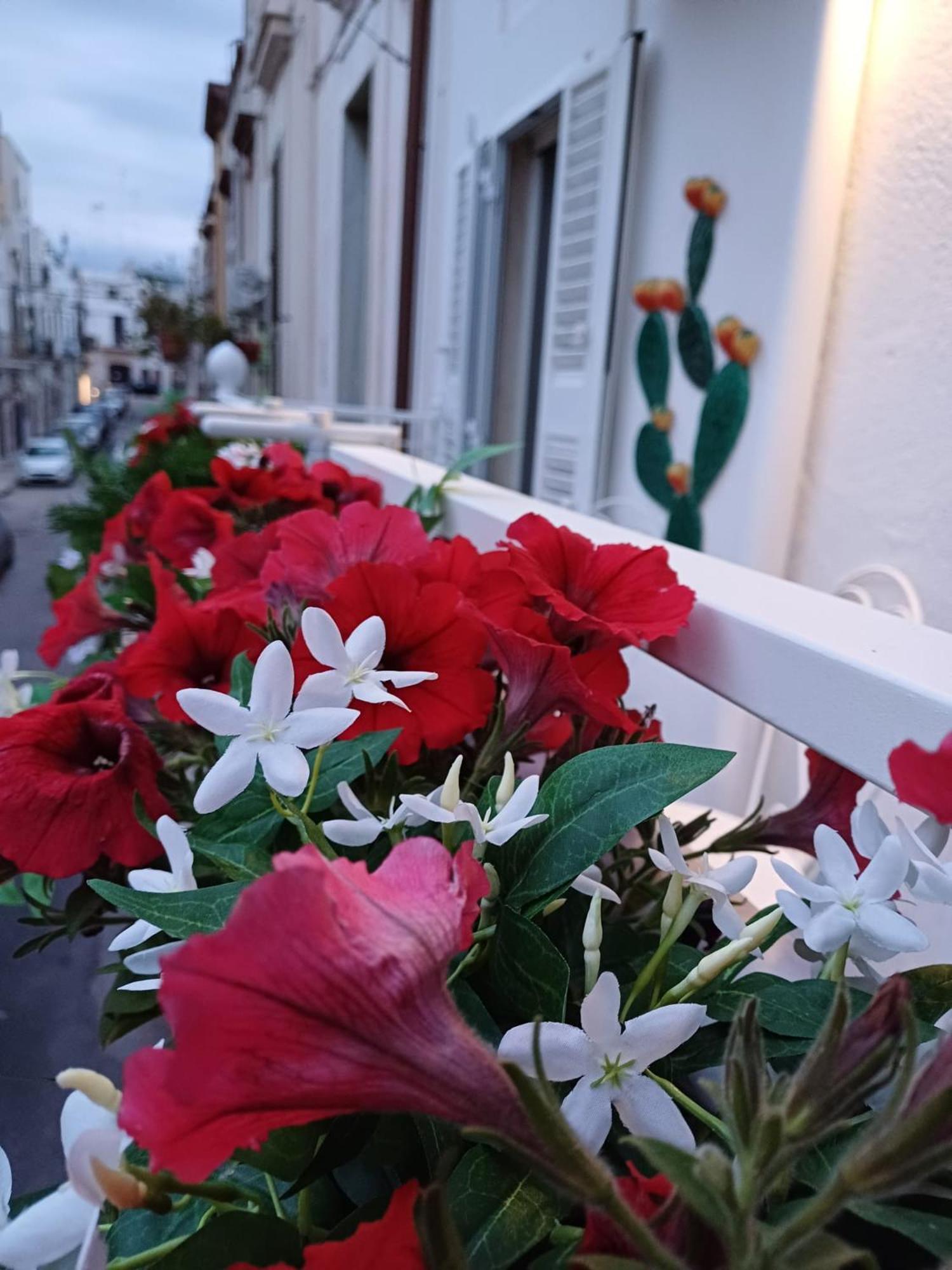 Casa Lina Apartment Mola di Bari Bagian luar foto